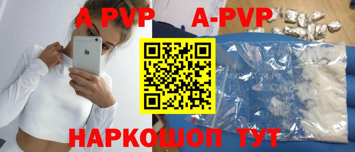 APVP СК КРИС Новотроицк