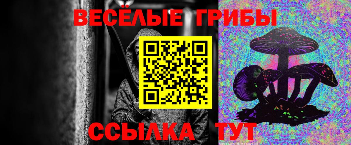 Новотроицк  Галлюциногенные грибы Psilocybine cubensis  Вход с VPN 